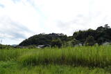 土佐 市野々城の写真