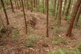 土佐 池南城の写真