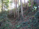 土佐 有井城の写真