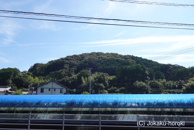 土佐 岩神城の写真
