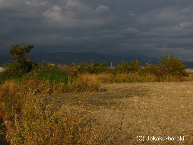土佐 岩村土居城の写真
