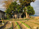 土佐 岩村土居城の写真