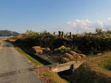 土佐 岩村土居城の写真