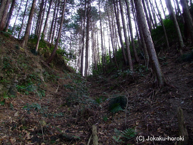 土佐 秦泉寺城の写真