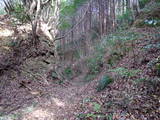 土佐 秦泉寺城の写真