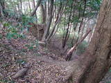 土佐 秦泉寺城の写真