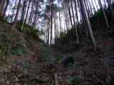 土佐 秦泉寺城の写真