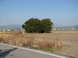 土佐 蚊居田土居城の写真