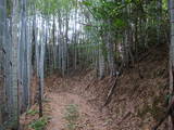 土佐 亀岩城の写真