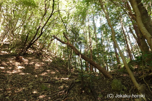 土佐 烏ヶ森城(土佐山田町)の写真