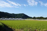 土佐 烏ヶ森城(土佐山田町)の写真