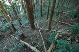 土佐 烏ヶ森城(土佐山田町)の写真