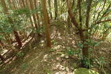 土佐 烏ヶ森城(土佐山田町)の写真