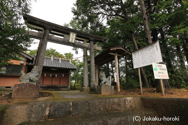 土佐 金岡城の写真