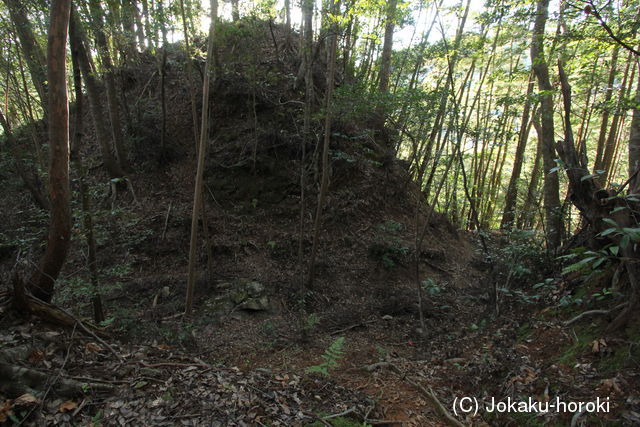 土佐 片岡城の写真