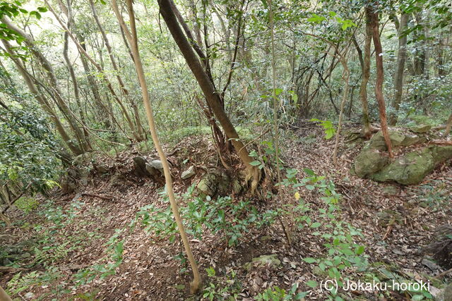 土佐 葛懸城の写真