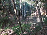 土佐 吉良城の写真