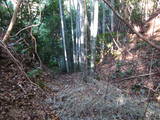 土佐 吉良城の写真