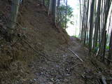 土佐 吉良城の写真