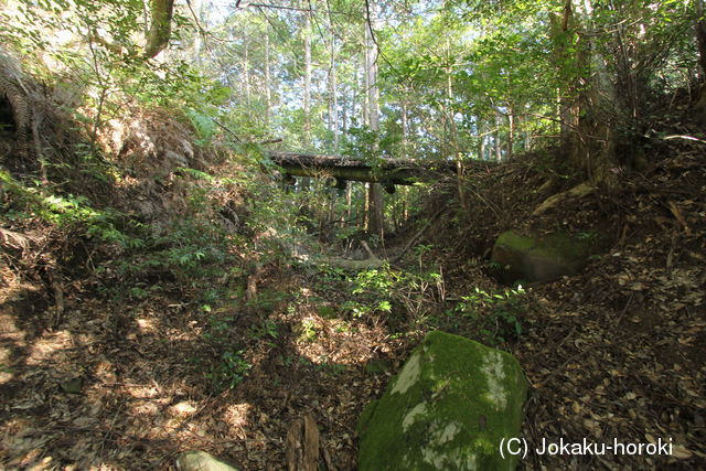 土佐 烏ヶ森城(北川村)の写真