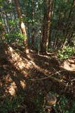 土佐 烏ヶ森城(北川村)の写真