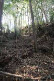 土佐 烏ヶ森城(北川村)の写真