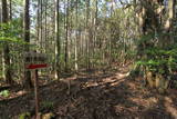 土佐 烏ヶ森城(北川村)の写真