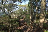 土佐 烏ヶ森城(北川村)の写真