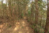 土佐 小深浦新城の写真