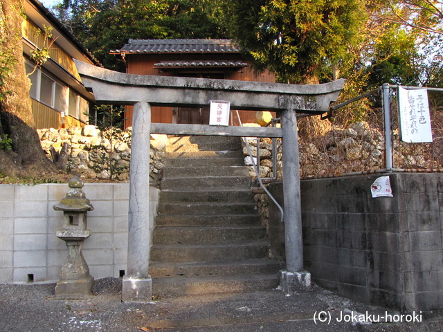 土佐 神田城の写真