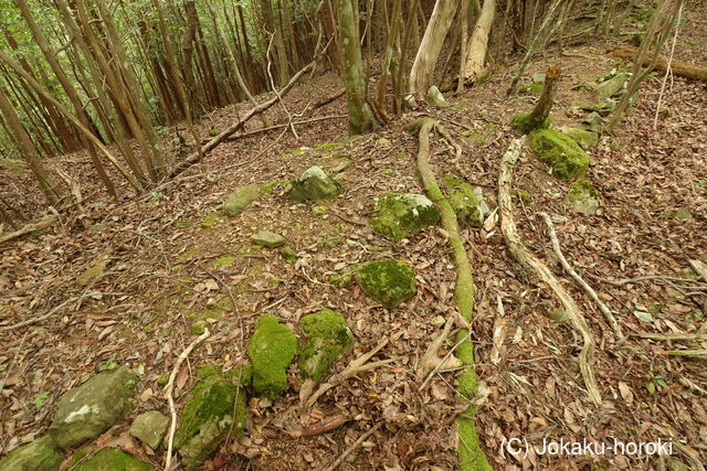 土佐 小串城の写真