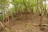土佐 小串城の写真