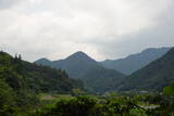 土佐 小串城の写真