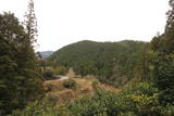 土佐 古井の森城の写真