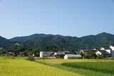 土佐 小蔭山砦の写真