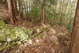 土佐 小蔭山砦の写真