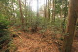 土佐 古渓山城の写真