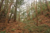 土佐 古渓山城の写真