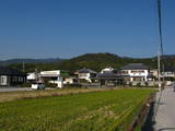 土佐 久礼田城の写真