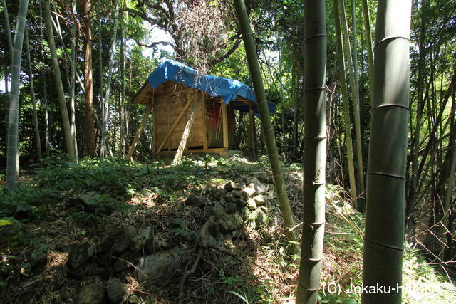 土佐 栗山城の写真