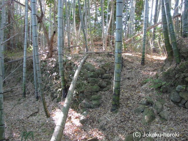 土佐 植野城の写真