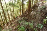 土佐 猿野城の写真