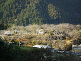 土佐 本山土居屋敷の写真