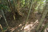 土佐 室津城の写真