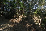 土佐 室津城の写真