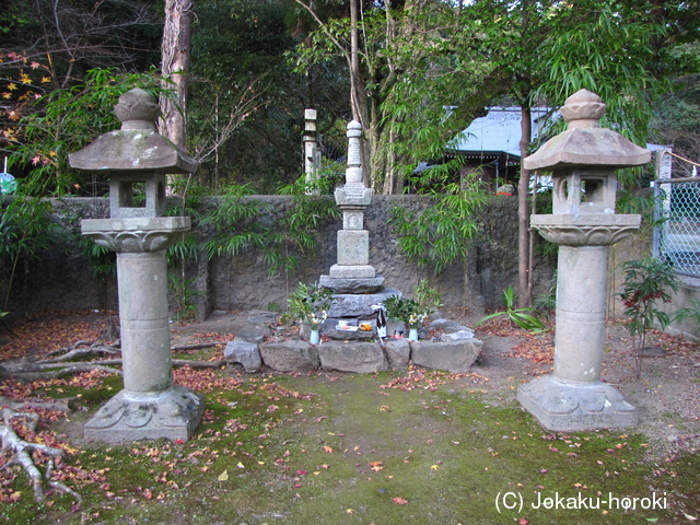 土佐 長浜城の写真