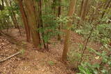 土佐 長竹城の写真