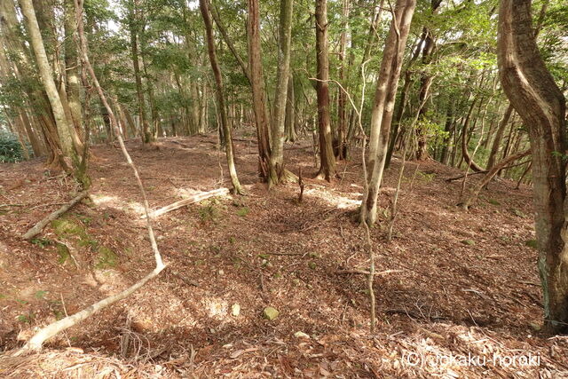 土佐 丸山城の写真