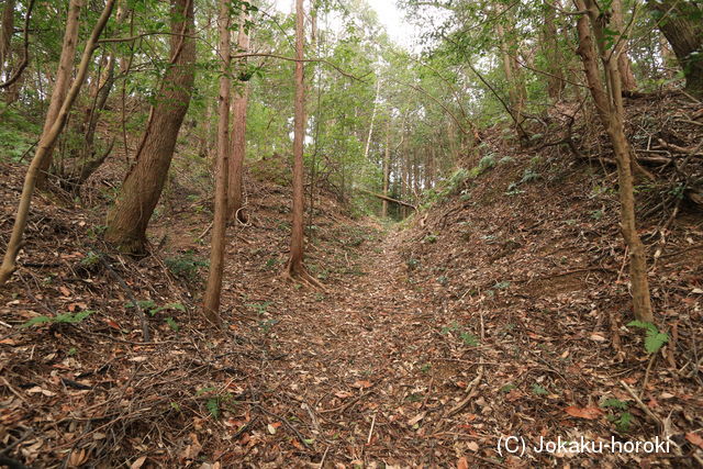 土佐 布師田金山城の写真