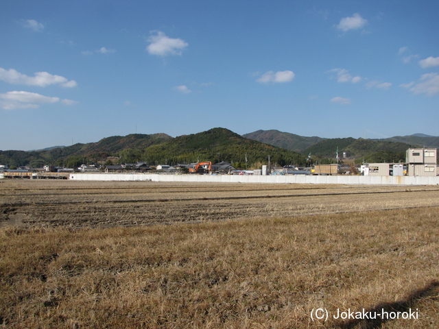 土佐 布師田八頭城の写真